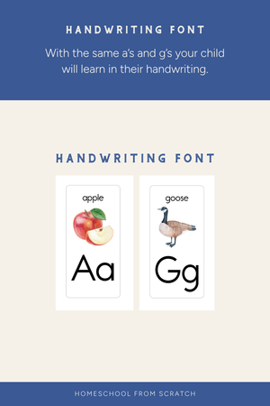Wall Alphabet for Homeschool