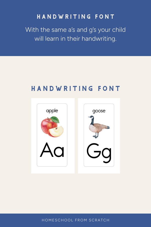 Wall Alphabet for Homeschool