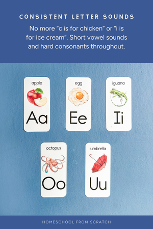 Wall Alphabet for Homeschool