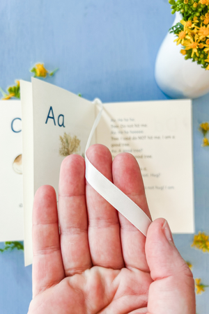 The Pocket Primer: Kindergarten