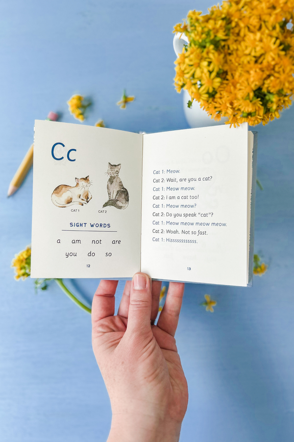 The Pocket Primer: Kindergarten