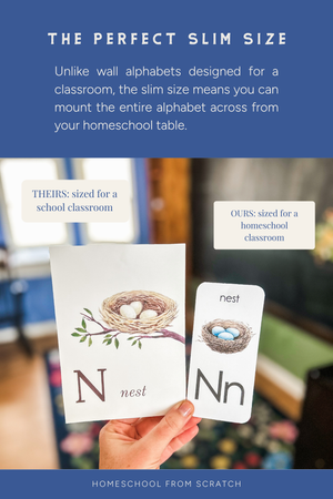 Wall Alphabet for Homeschool